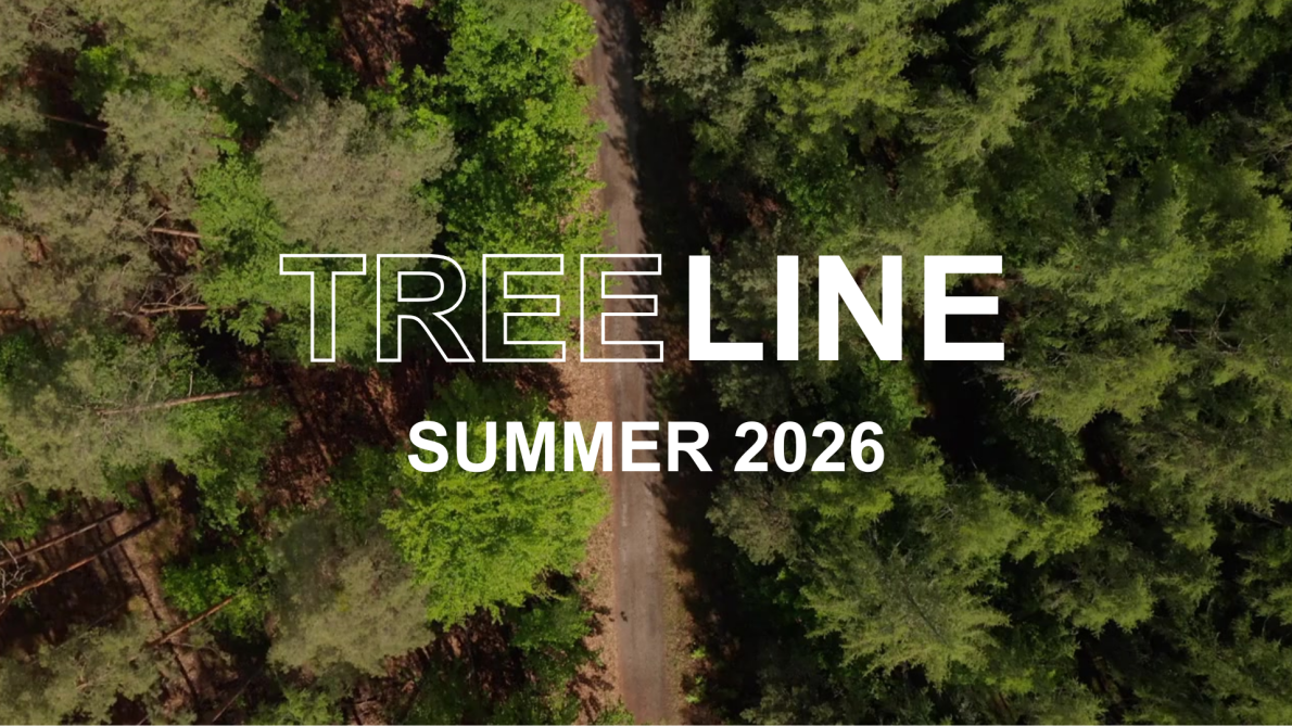 An aerial shot of a forest. Overlaid on the image is white text reading 'TREELINE SUMMER 2026'