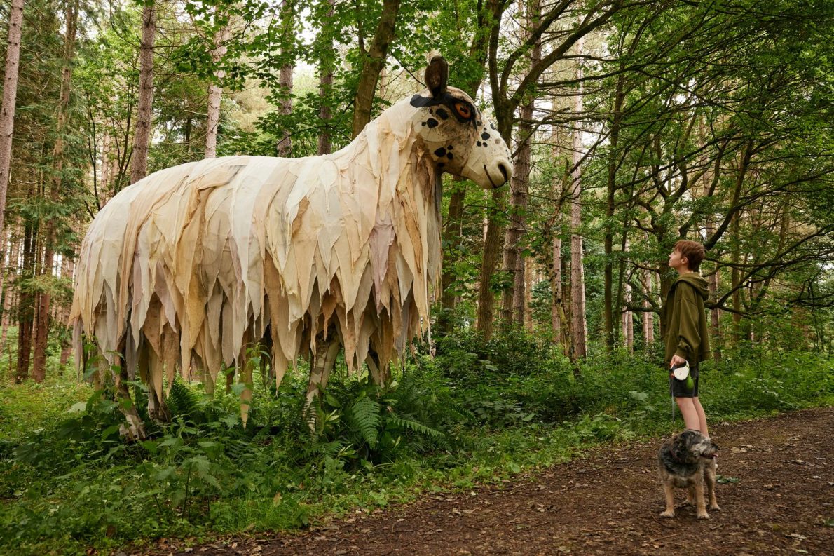Eddero at Deffer Wood during HERD.