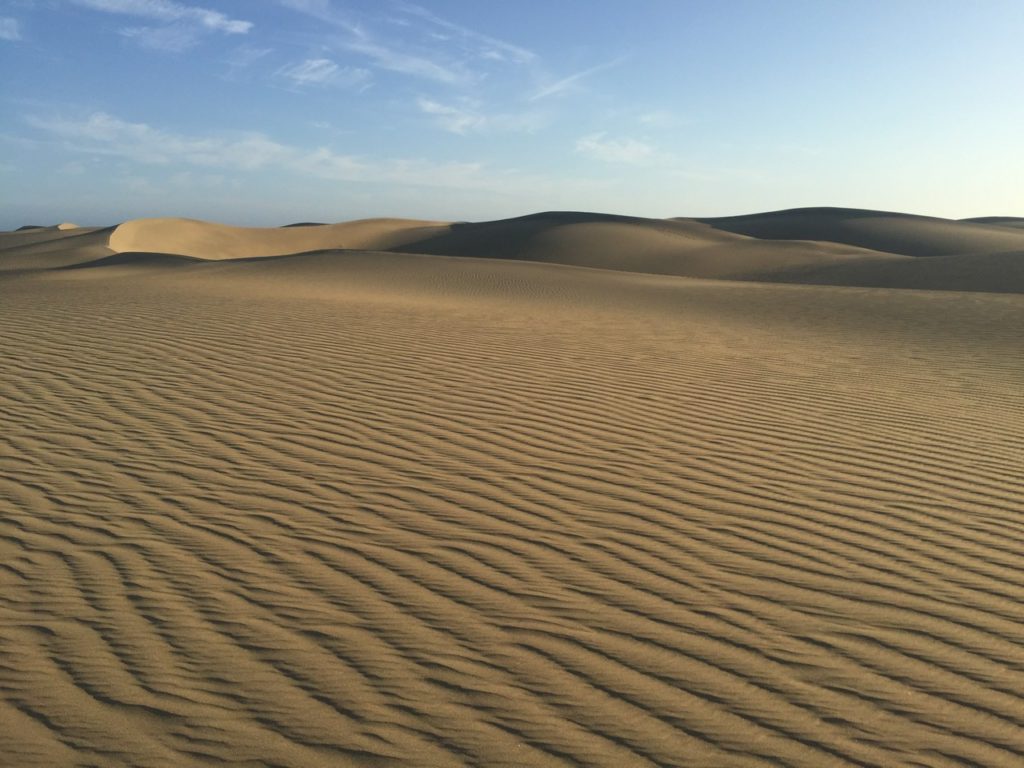 The iconic sand dunes at Maspalomas, Gran Canaria