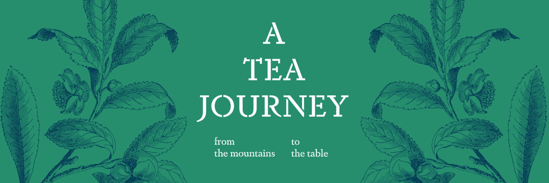 A Tea Journey: From the Mountains to the Table