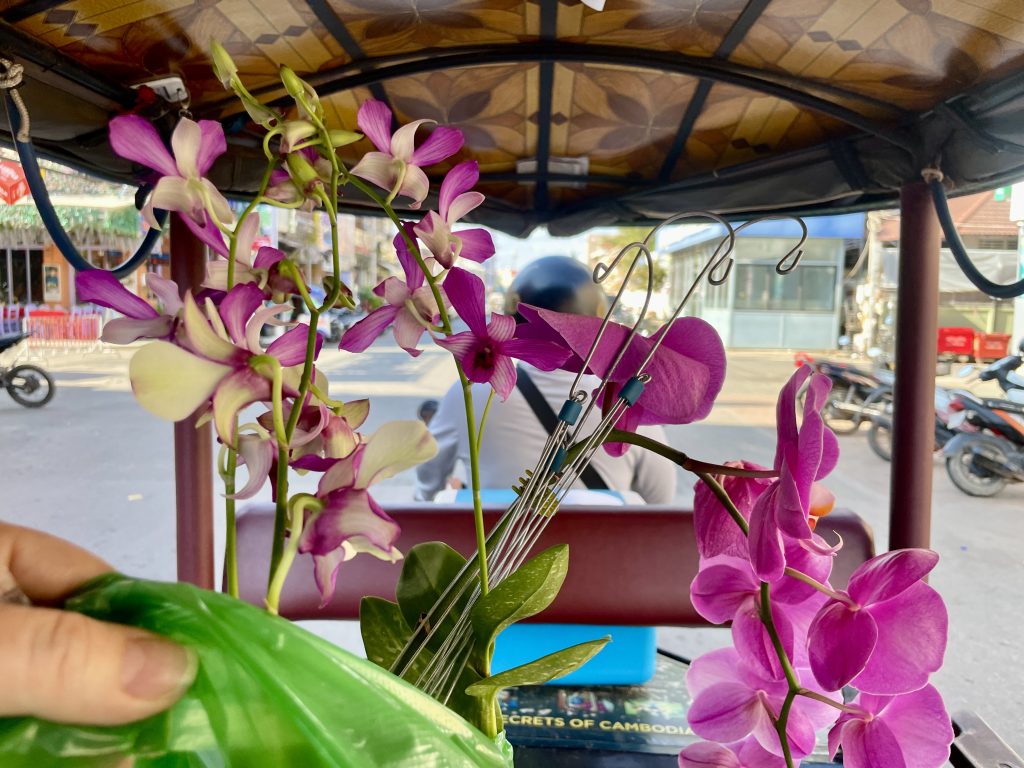 an image on the website of design union a textile print design studio in london