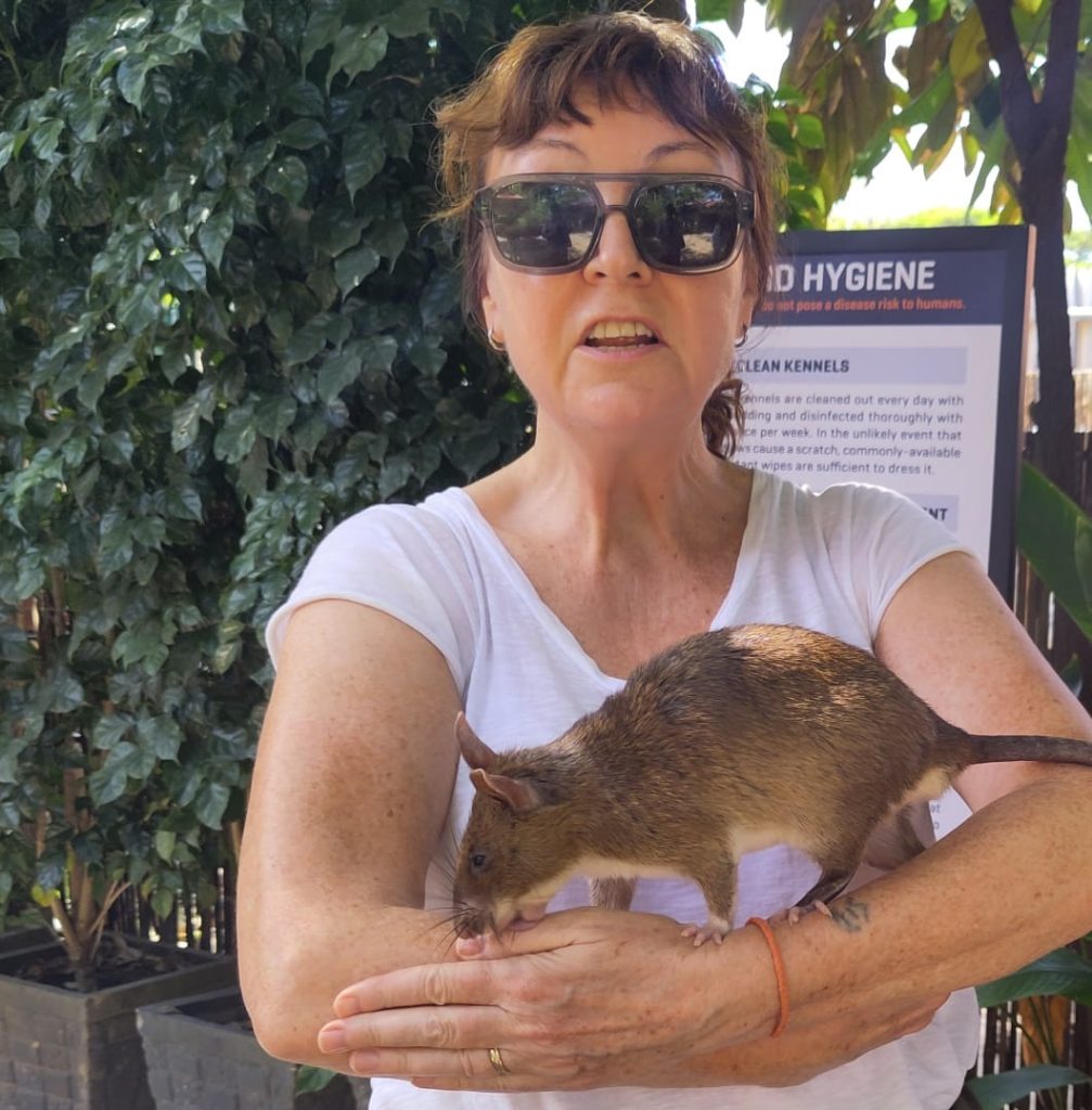 an image on the website of design union a textile print design studio in london