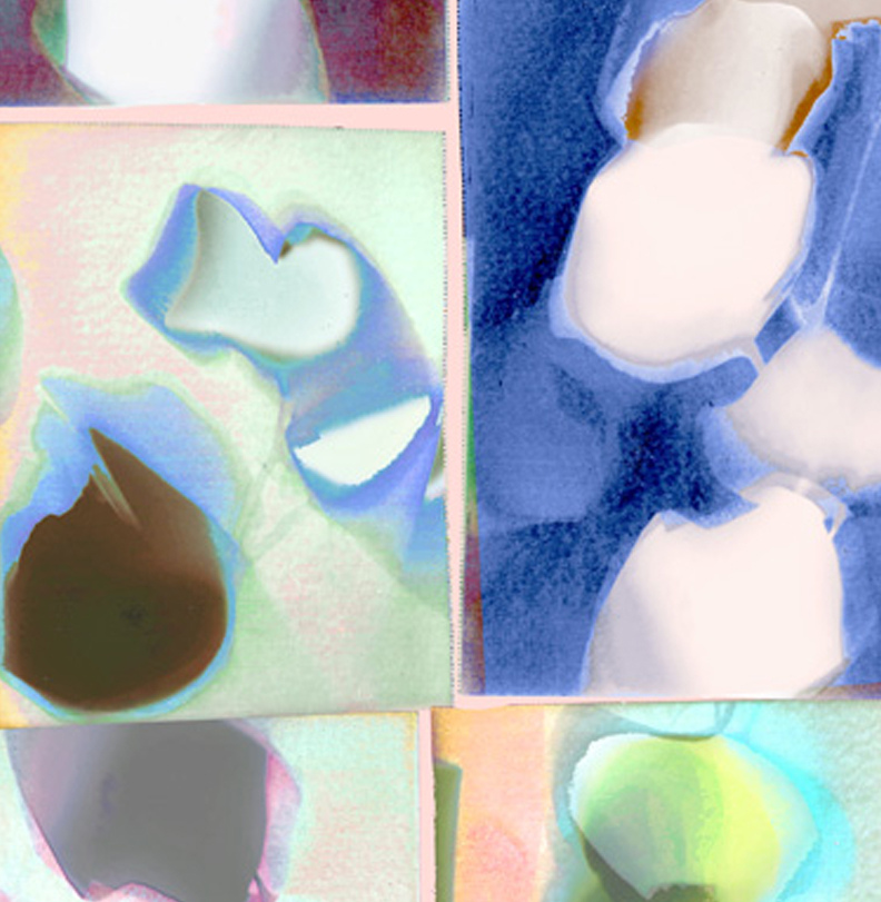 an image on the website of design union a textile print design studio in london