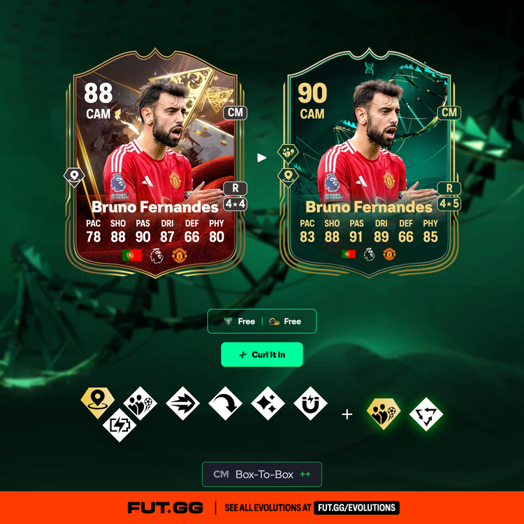 Fernandes Curl It In Evolution