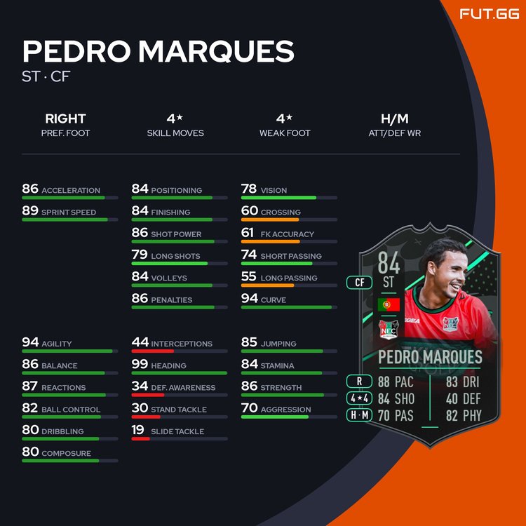 Pedro Marques Stats
