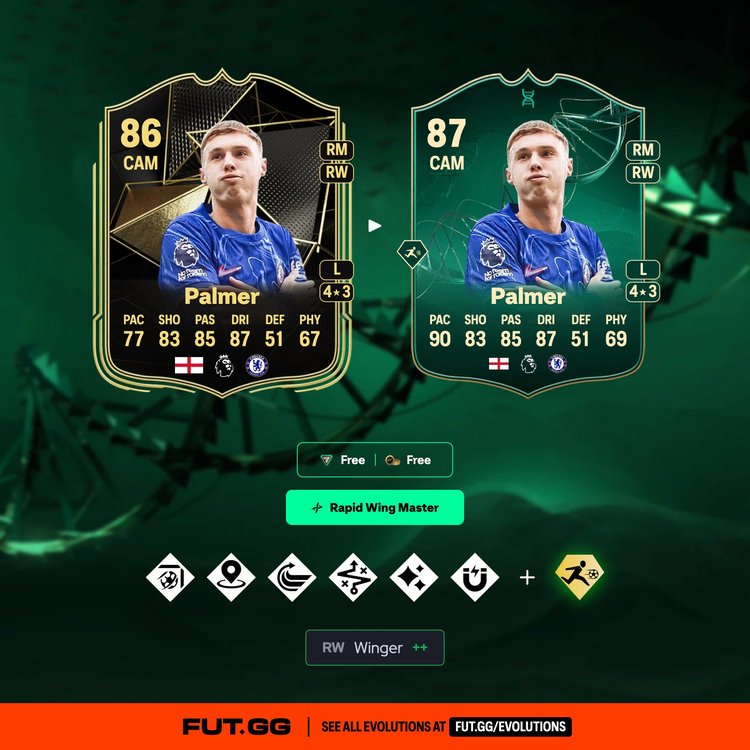 Palmer Rapid Wing Master Evolution