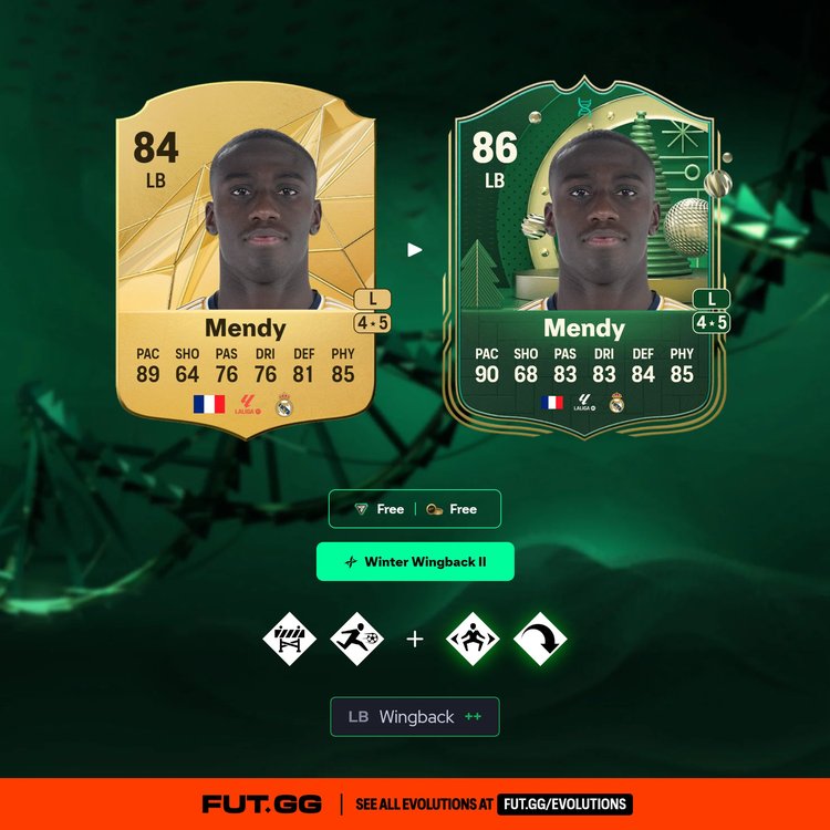 Mendy Winter Wingback II Evolution