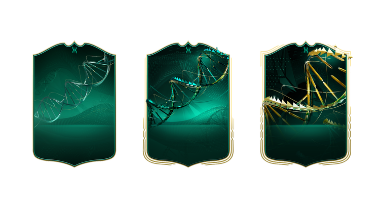 FC Founder Evolution Design