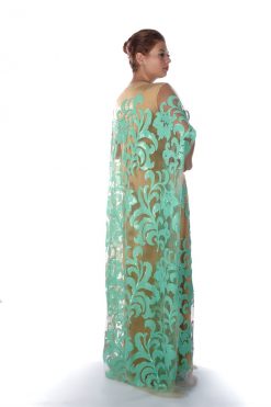 BR202143 3 1 Beige Tulle With Light Green Sequins Design Bisht
