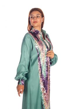 BR202148 4 1 Mint Green Silk Organza Caftan With Sequins