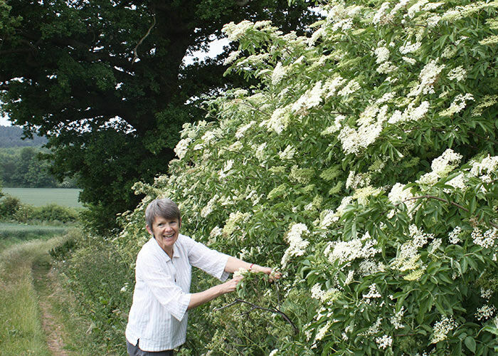 Jane foraging for elderflower