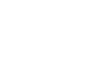 Stone brewing logo