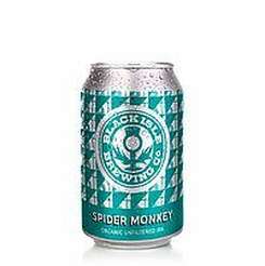Spider Monkey