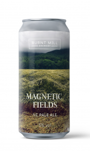 Magnetic Fields