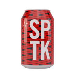 Sputnik