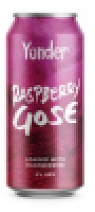 Raspberry Gose