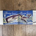 john y beaty the baby whale sharp ears first edition4
