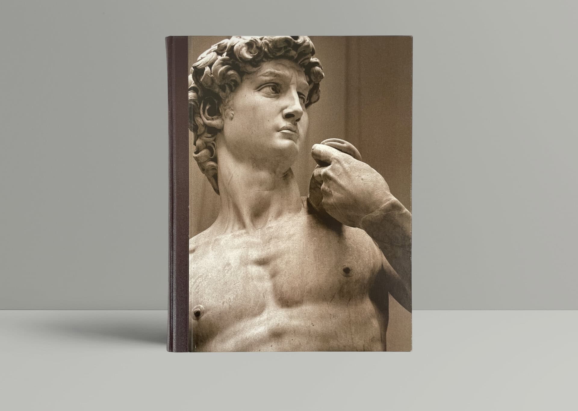 howard hibbard michelangelo folio 1