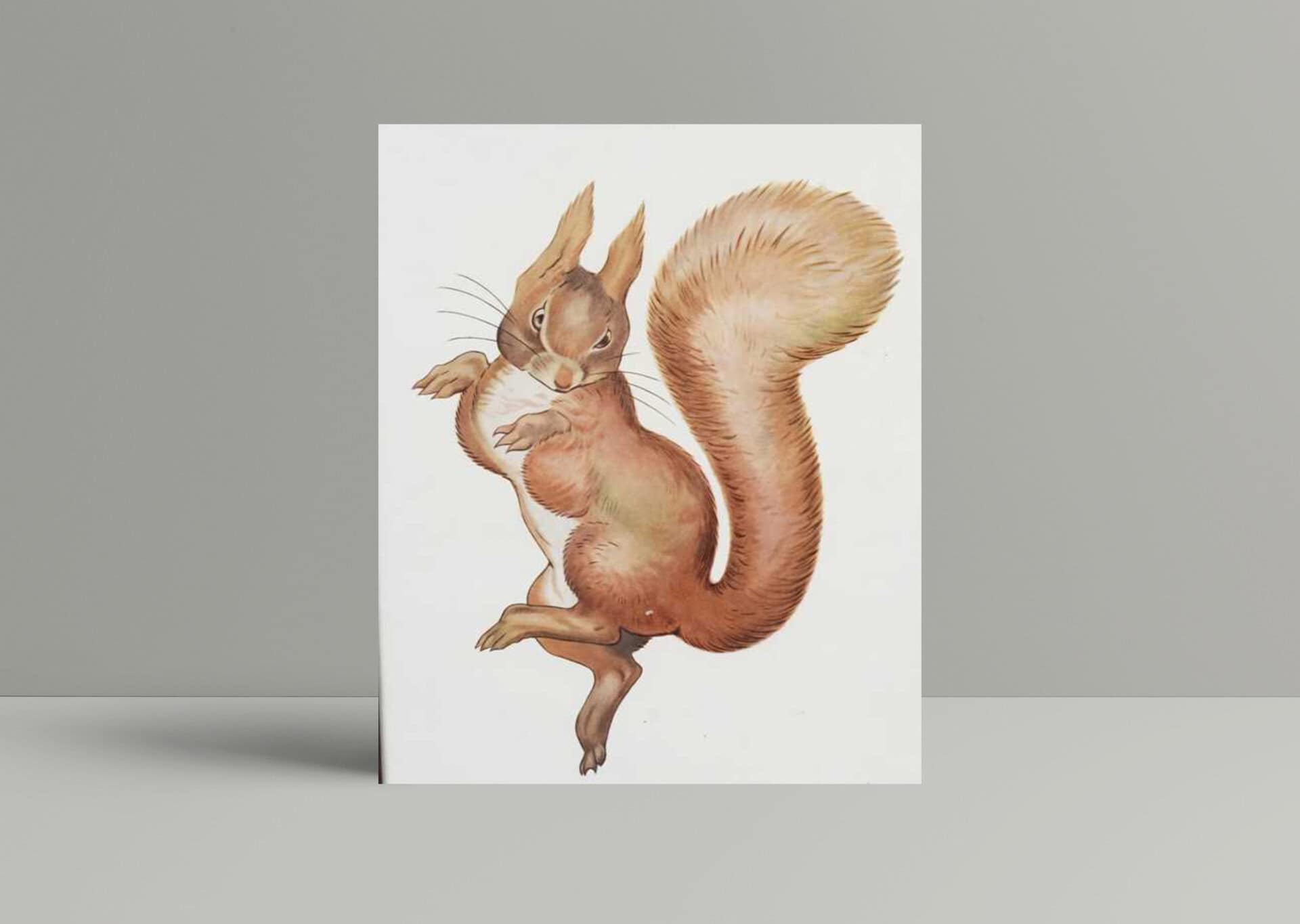 beatrix potter squirrel nutkin advertising print1