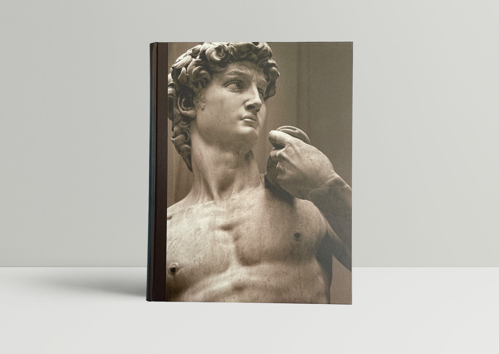 michelangelo folio1