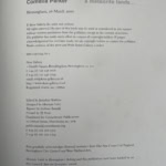 cornelia parker a meteorite lands first ed2