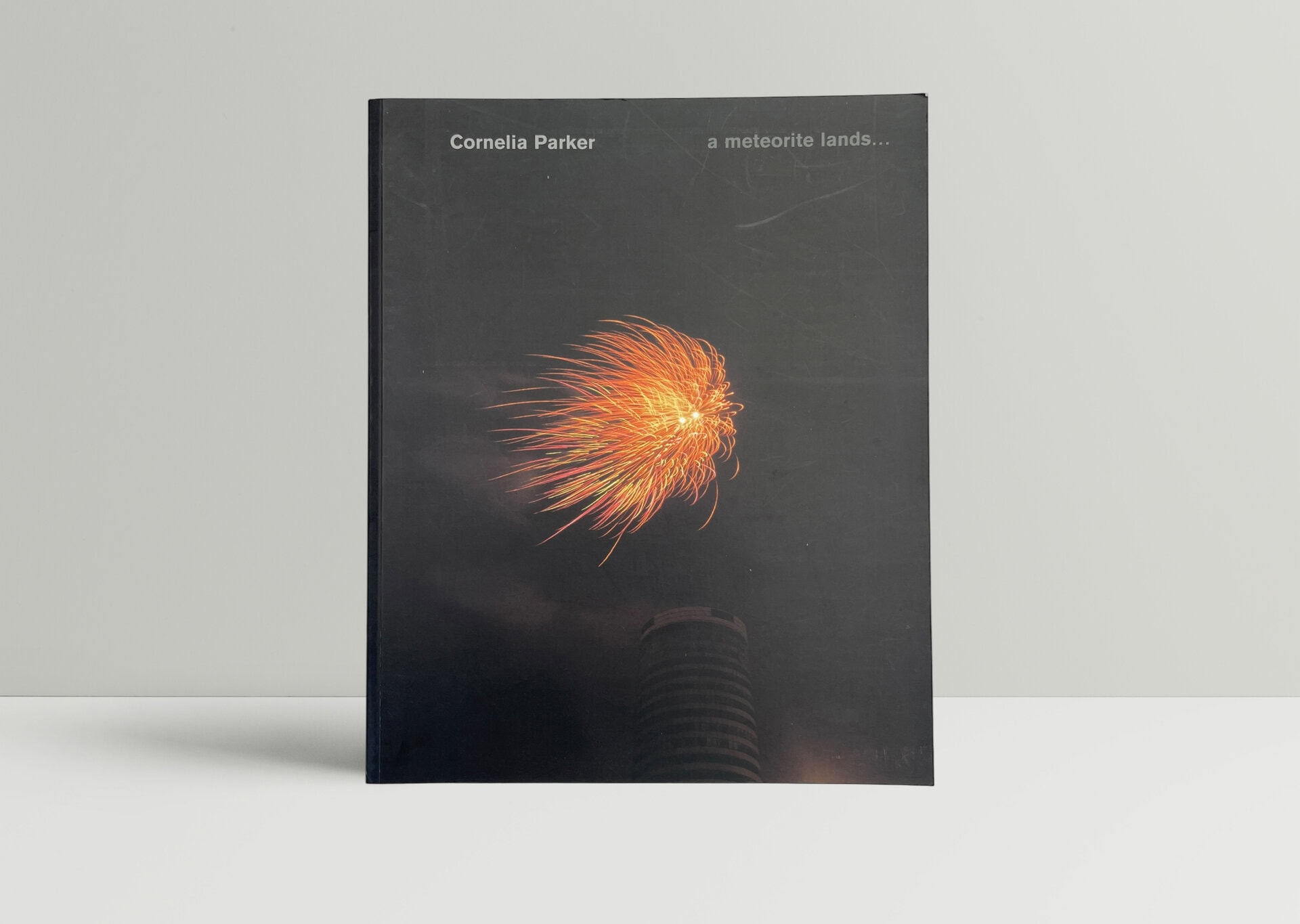 cornelia parker a meteorite lands first ed1