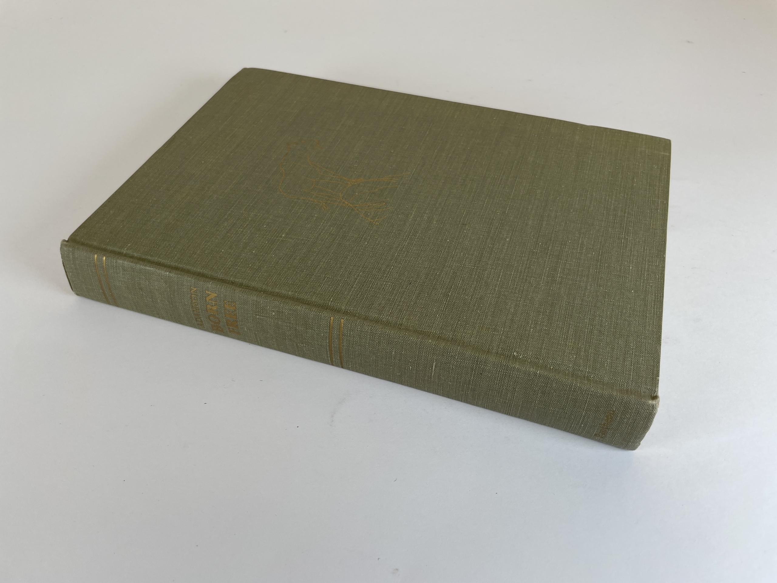 joy adamson born free first ed3