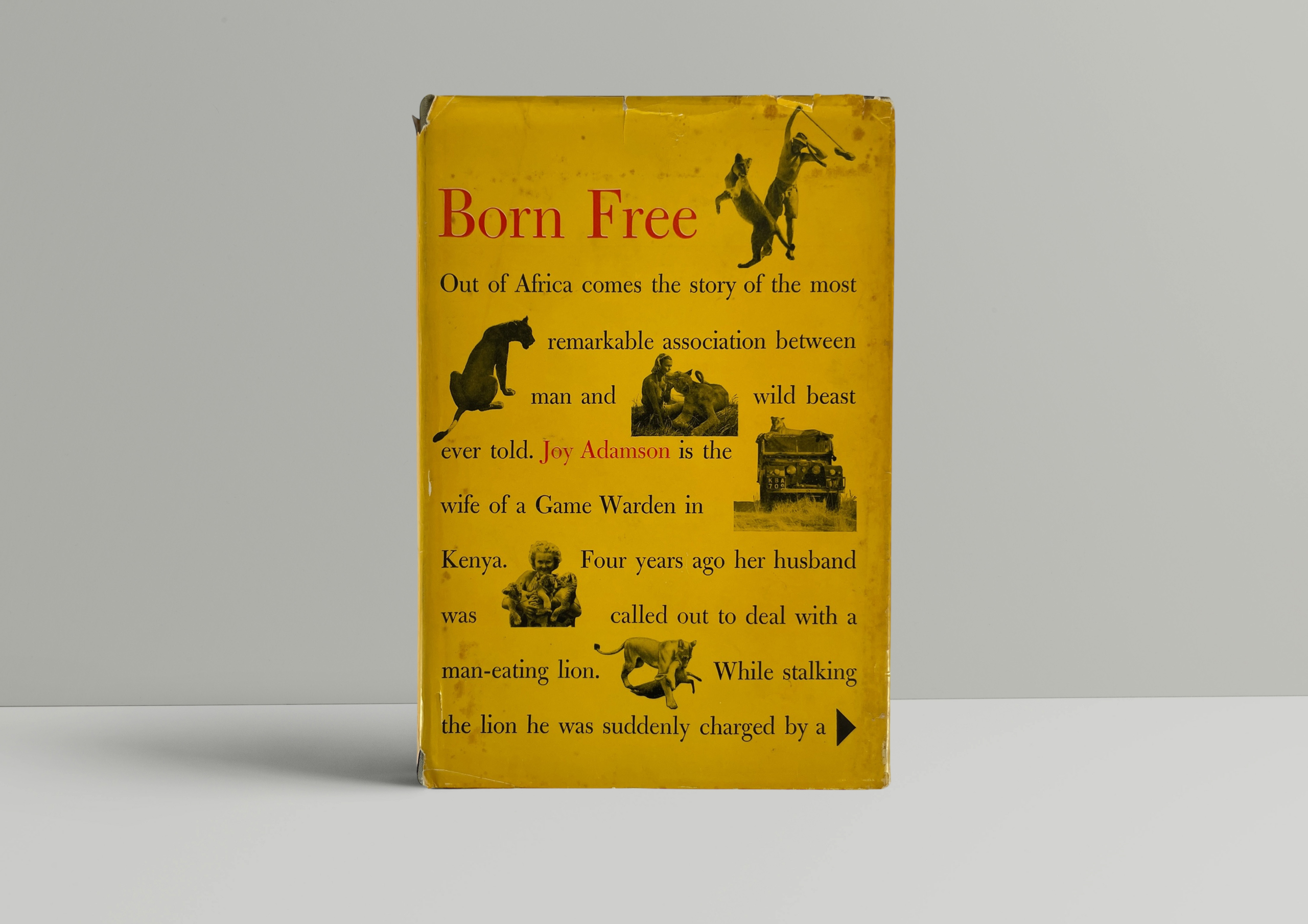 joy adamson born free first ed1