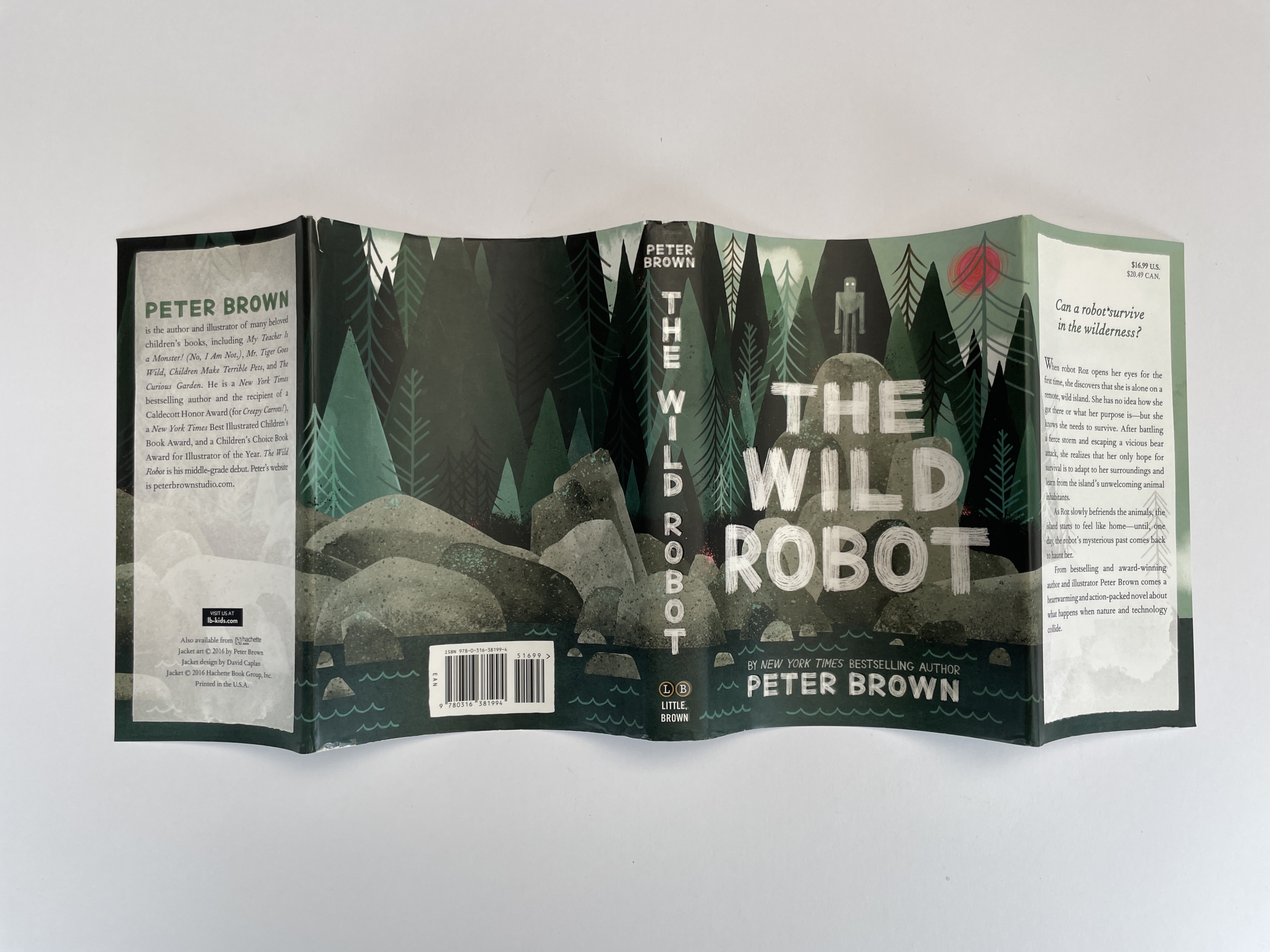 peter brown the wild robot first edition4