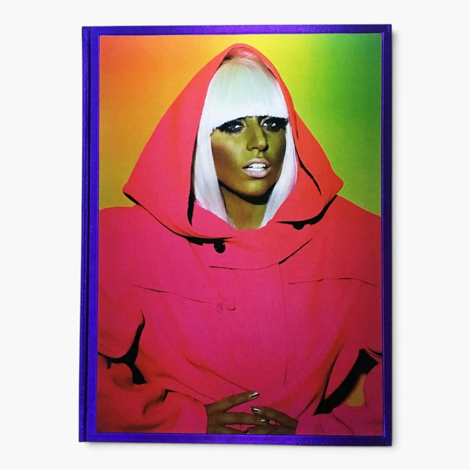 Mario Testino - Private View – Signed Limited Collector’s Edition 1/1500 - SIGNED - Image 2