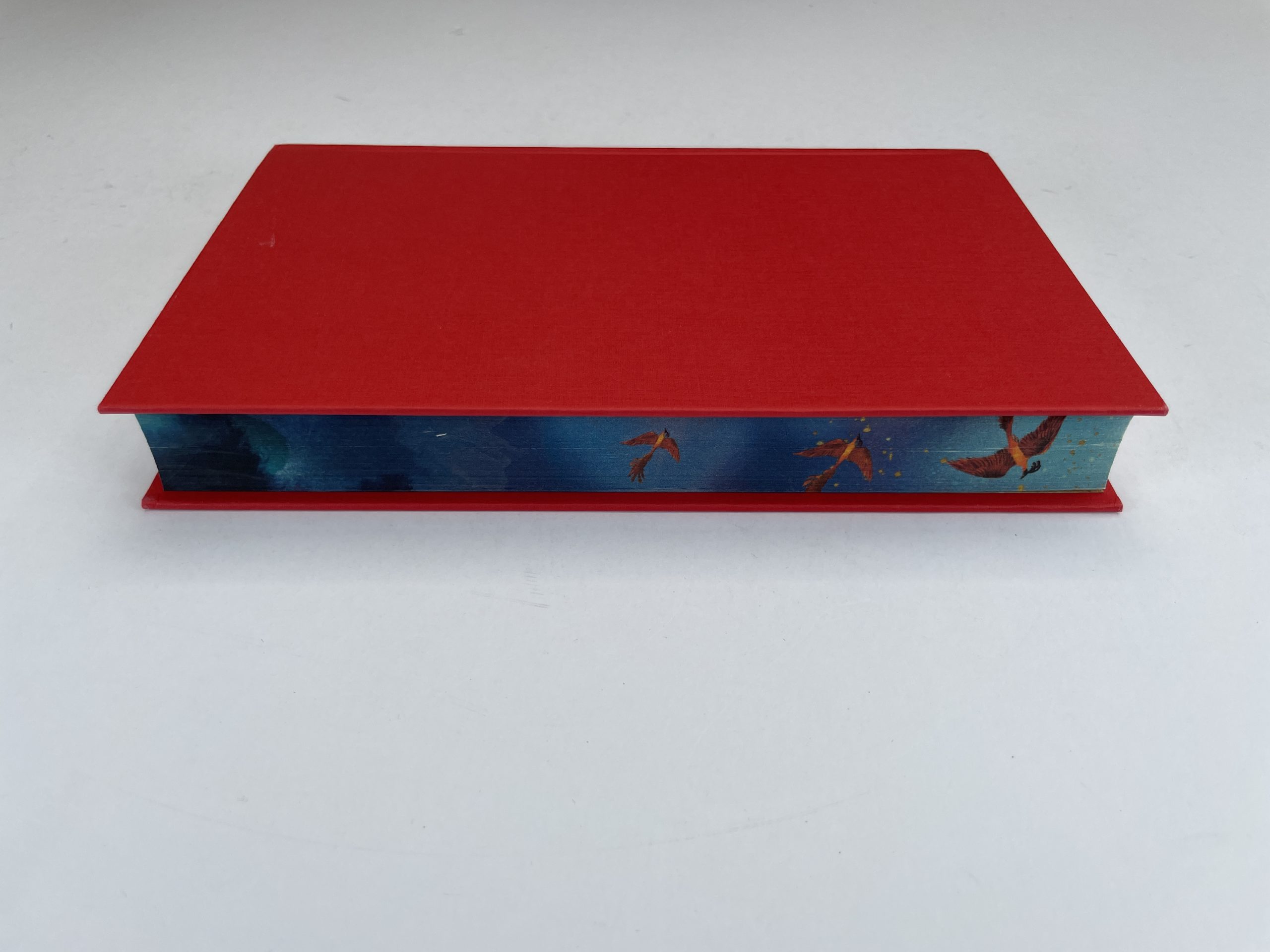 Katherine Rundell - Impossible Creatures - Sprayed Edges - SIGNED by the Author - First Edition - 2023 - Image 5