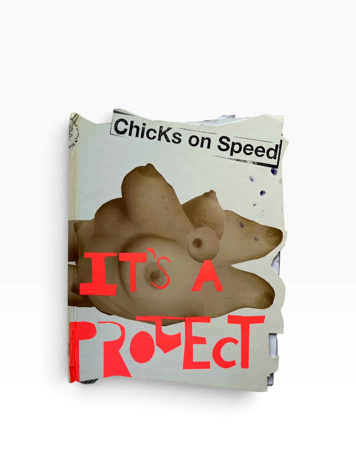 Chicks On Speed – It’s a Project - First Edition 2004