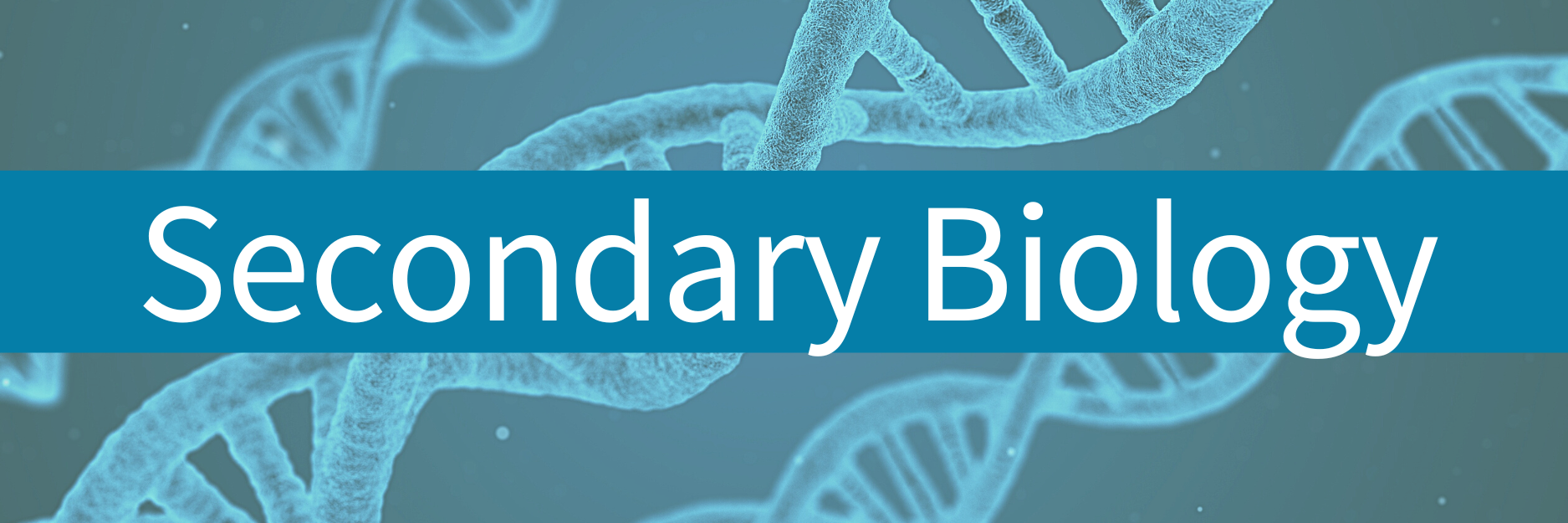 secondary biology