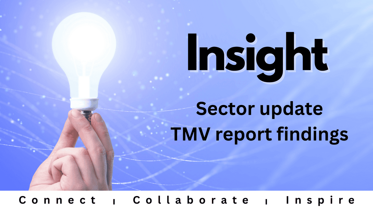 Insight - sector update TMV