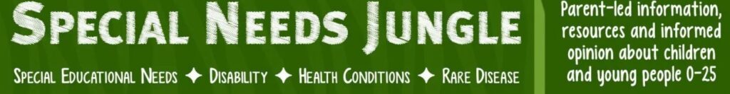 BLOG2025 Special Needs Jungle 16122025