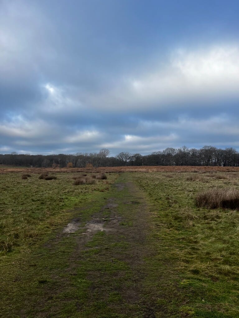 Winter League - Cross Country (Welwyn Garden) on Sat Jan 10th Jan 2026 credit: Nicola Kaye