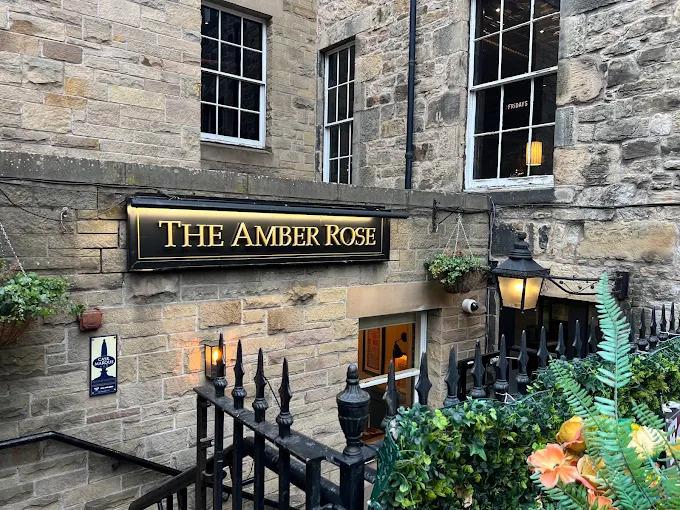 Amber Rose banner image