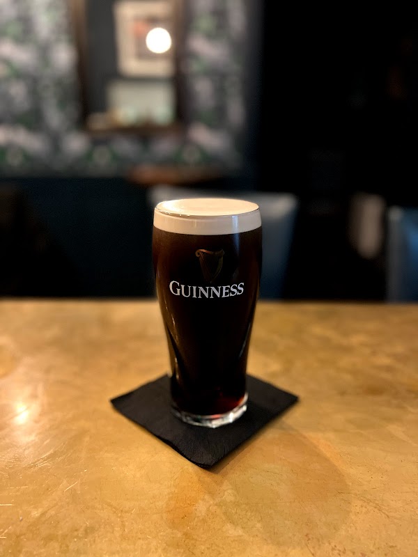 The Wildcat cover image