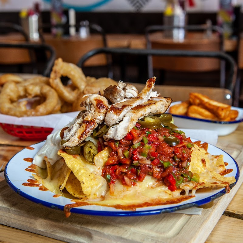 The Lioness of Leith cover image