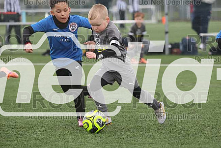 01/03/26 SETT U6 Festival