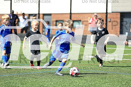 24/05/26 - U6 Festival