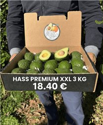 3 Kg Aguacate Hass Premium XXL (2–5 Unidades por Kg)