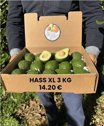 3 Kg Aguacate Hass XL (4–9 Unidades por Kg)