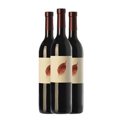 Pedralonga DoUmia Rías Baixas Joven 75 cl Vino Tinto (Caja de 3 unidades)