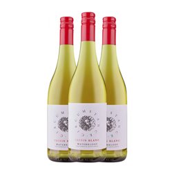 Waterkloof Circumstance Chenin Stellenbosch Eco — Ecológico 75 cl Vino Blanco (Caja de 3 unidades)