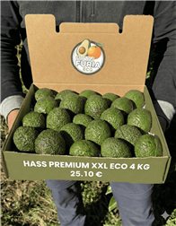 4 Kg Aguacate Hass Premium Ecológico XXL 🌿 (2–5 Unidades por Kg)