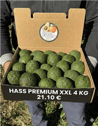 4 Kg Aguacate Hass Premium XXL (2–5 Unidades por Kg)