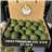 4 Kg Aguacate Hass Premium XXL (2–5 Unidades por Kg)