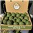 6 Kg Aguacate Hass Ecológico XL 🌿 (4–9 Unidades por Kg)