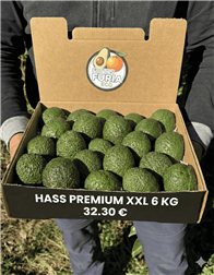 6 Kg Aguacate Hass Premium XXL (2–5 Unidades por Kg)